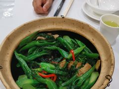 虾酱啫芥兰-勝記酒家·37年老字号·经典粤菜(荔枝公园店)