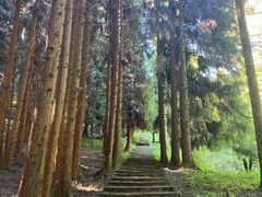 -武陵山森林公园