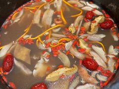 -蘑界·野生菌火锅(深业上城店)