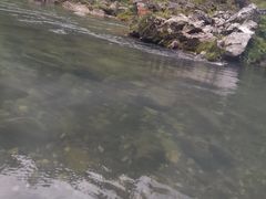 -阿依河景区