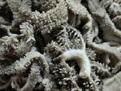 -宝瑞门钉肉饼店