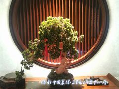 店内环境优雅-隐厨·中国菜馆(三里屯T+MALL店)