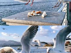 -海埂大坝