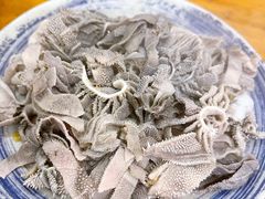 羊散丹-金生隆(六铺炕店)