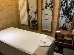 -至爱至信新中式SPA疗愈会所