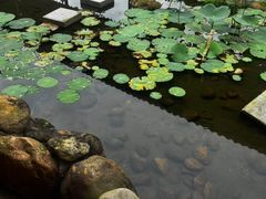 -海精英海鲜世界(台海路店)
