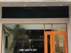 -猫友咖啡店(玉林西路店)