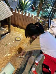 -酷嗒动物文化乐园(cutezoo西溪乐天城店)