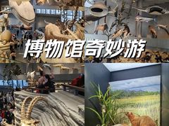 -上海自然博物馆