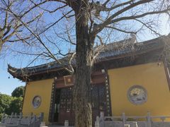 -上海青龙寺