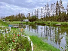 -前小桔亲子创意农场·草莓采摘·露营烧烤