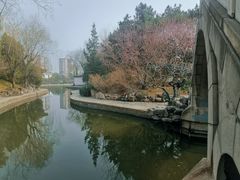 -团结湖公园