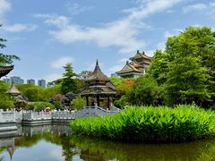 -顺峰山公园