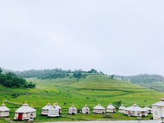 -关山草原