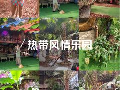 -呀路古热带植物园