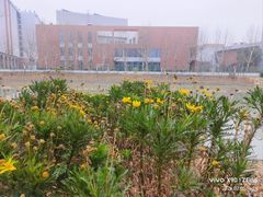 -浦江城市生活广场(江月路店)