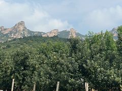 -大芦花风景区