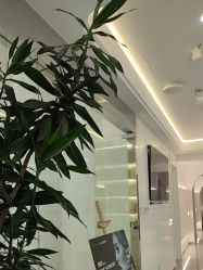 -白月光皮肤管理·德国LDM