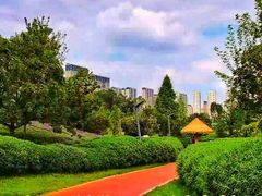 -安宁市宁湖森林公园