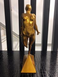 -北京丽星翼美医疗美容