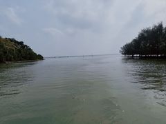 -东寨港红树林旅游区