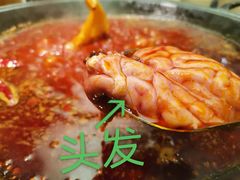 脑花-朱氏胖子烂火锅(洪崖洞店)