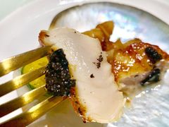 香草煎元贝-闻见中国海南菜(K11店)