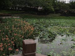 -南宁南湖公园
