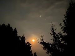 -武陵山森林公园