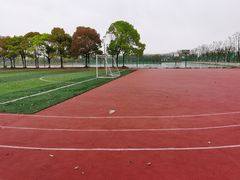 -中加枫华国际学校
