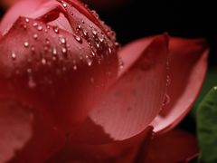 -见山茶事(丽水路店)