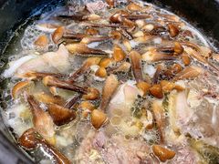 鸡枞菌-东椰·海南椰子鸡火锅(朝阳门店)