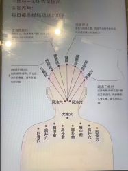 点击看大图 -舒欣头疗·俏丝谧语 白发脱发专业护理