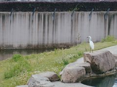 -上方山森林动物世界