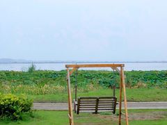 -七的湖·晚芳亭·阳澄湖农家菜·大闸蟹(莲花岛店)
