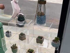 -卫雅仕口腔