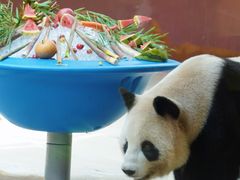 -杭州野生动物世界