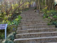 -紫金山山顶公园