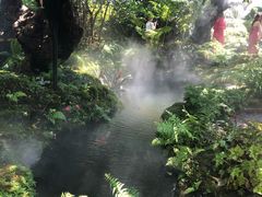 -Chom Cafe and Restaurant