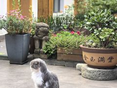 -大理床单厂艺术区