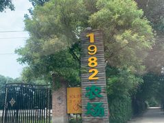 -1982农场