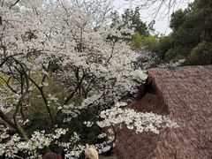 -中国茶叶博物馆(双峰馆区)