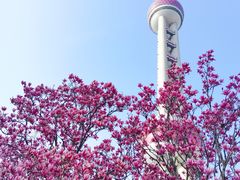 -东方明珠广播电视塔