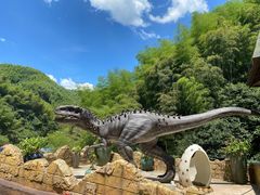 -将军关探险漂流