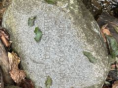 -牛背梁国家森林公园