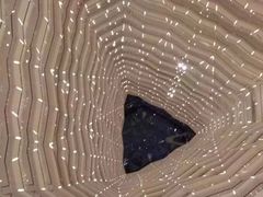 -广州四季酒店