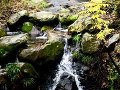 -藏龙百瀑风景区