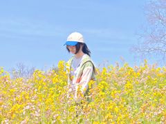 -苏州上方山国家森林公园