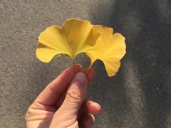 -中家鑫园温泉酒店鑫悦汤泉