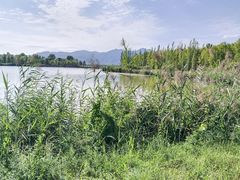 -野鸭湖国家湿地公园